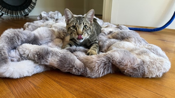 We melted into this blanket and might never return