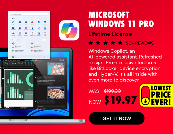 Microsoft Windows 11 Pro