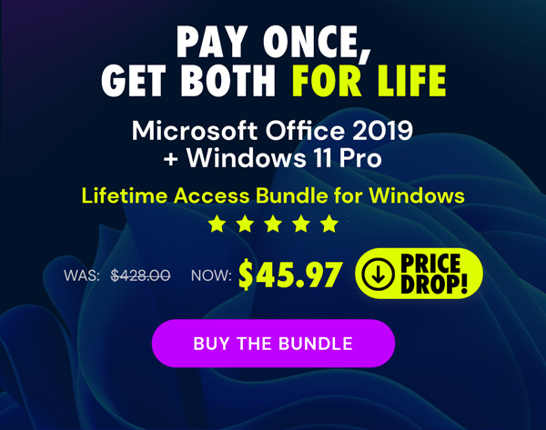 The All-in-One Microsoft Office Pro 2019 for Windows: Lifetime License + Windows 11 Pro Bundle