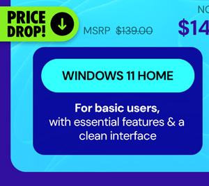 Microsoft Windows 11 Home Lifetime License