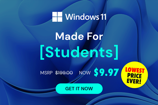 Microsoft Windows 11 Pro | Lifetime License
