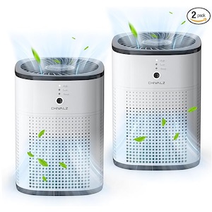 Air Purifier (600 sq. ft.)