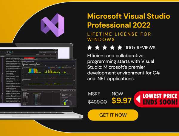 Microsoft Visual Studio Professional 2022 for Windows