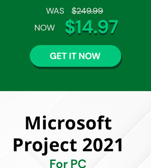 Microsoft Project 2021 Professional (PC)
