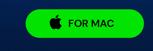 Intuit QuickBooks Desktop Pro Plus 2024 (1 User) for Mac: Lifetime Licenses