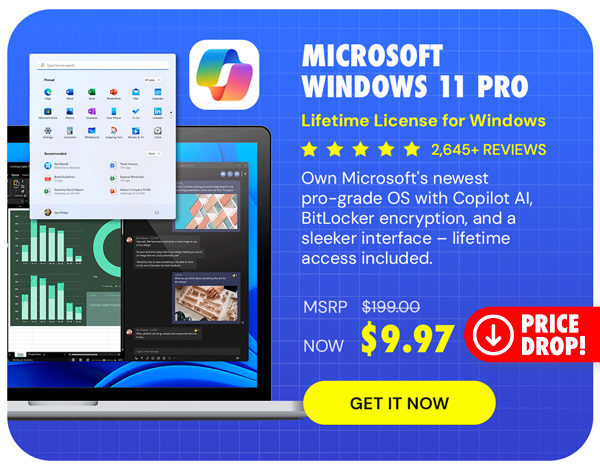 Microsoft Windows 11 Pro