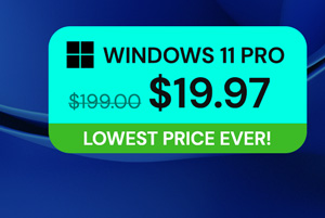 Microsoft Windows 11 Pro