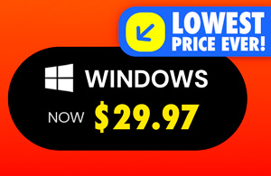 Microsoft Office Professional Plus 2019 for Windows