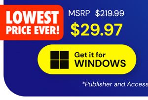 Microsoft Office Professional 2021 for Windows: Lifetime License