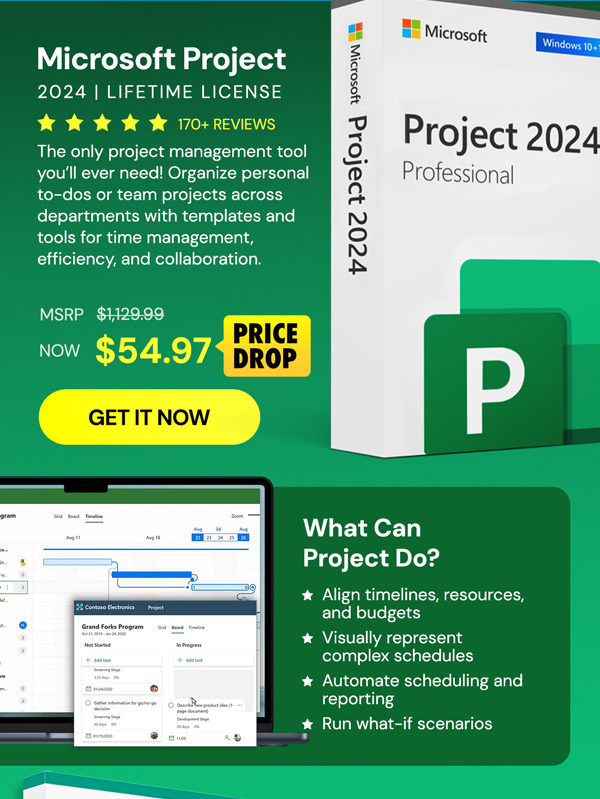 Microsoft Project Professional 2024: Lifetime License for Windows
