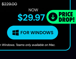 Microsoft Office Professional Plus 2019 for Windows | Lifetime License