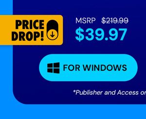 Microsoft Office Professional 2021 for Windows: Lifetime License