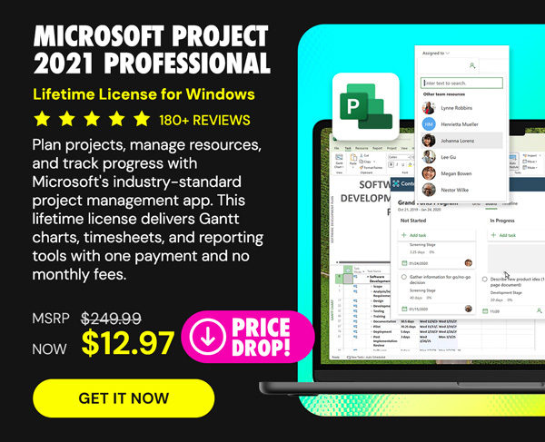 Microsoft Project 2021 Professional: Lifetime License for Windows