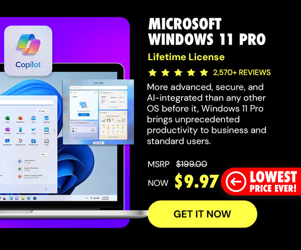Microsoft Windows 11 Pro