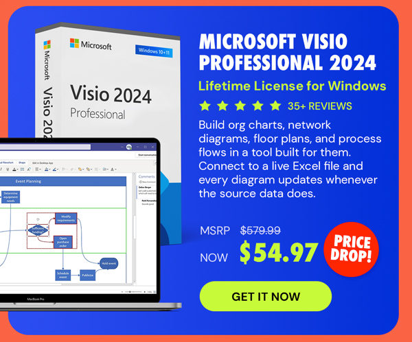 Microsoft Visio Professional 2024: Lifetime License for Windows