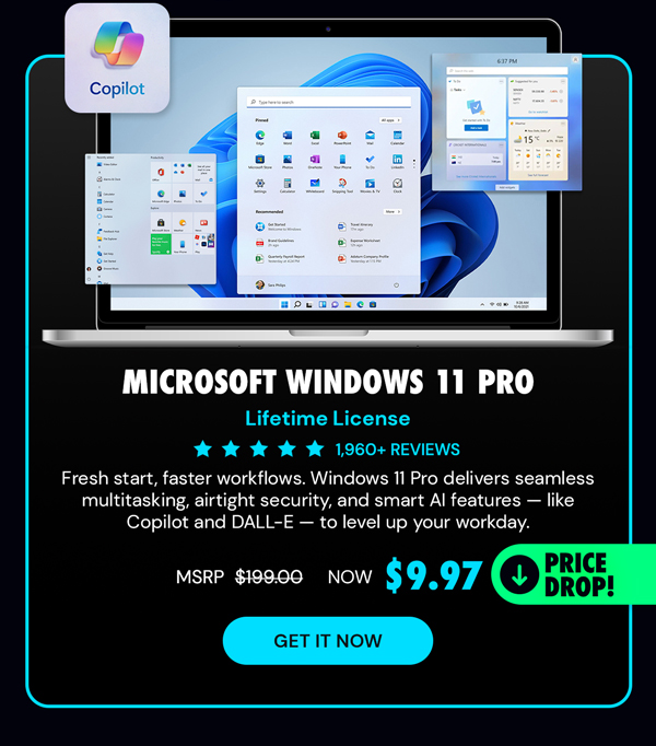 Microsoft Windows 11 Pro
