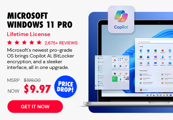 Microsoft Windows 11 Pro