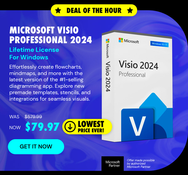 Microsoft Visio Professional 2024: Lifetime License for Windows