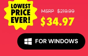 Microsoft Office Professional 2021 for Windows: Lifetime License