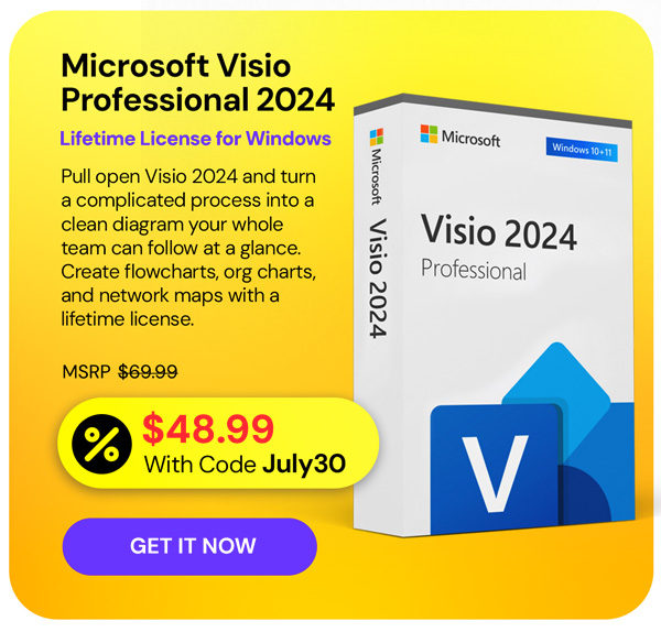 Microsoft Visio Professional 2024: Lifetime License for Windows