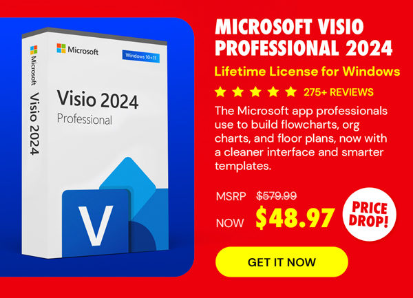 Microsoft Visio Professional 2024: Lifetime License for Windows