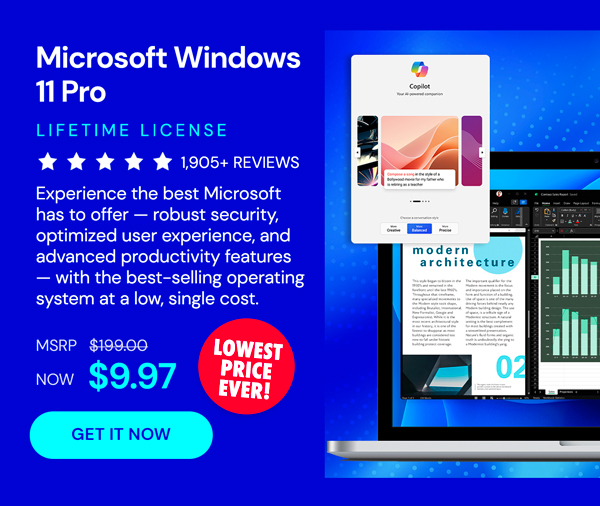 Microsoft Windows 11 Pro