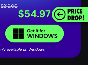 Microsoft Office Professional 2021 for Windows: Lifetime License