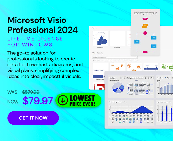 Microsoft Visio Professional 2024: Lifetime License for Windows