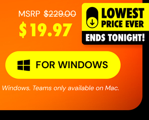 Microsoft Office Professional Plus 2019 for Windows | Lifetime License