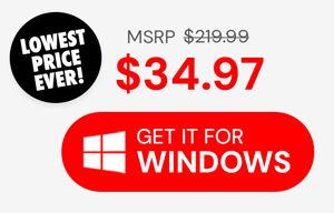 Microsoft Office Professional Plus 2019 for Windows | Lifetime License