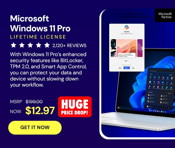 Microsoft Windows 11 Pro