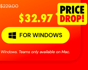 Microsoft Office Professional 2019 for Windows: Lifetime License