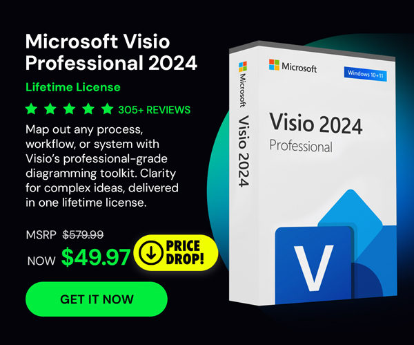 Microsoft Visio Professional 2024: Lifetime License for Windows