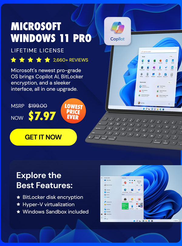 Microsoft Windows 11 Pro