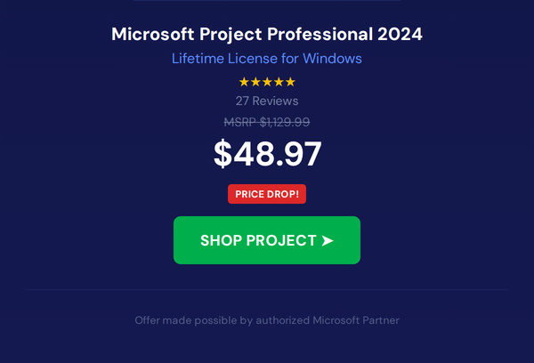 Microsoft Visio or Project 2024 Professional: Lifetime License for Windows