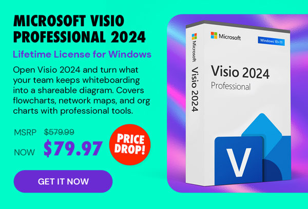 Microsoft Visio Professional 2024: Lifetime License for Windows
