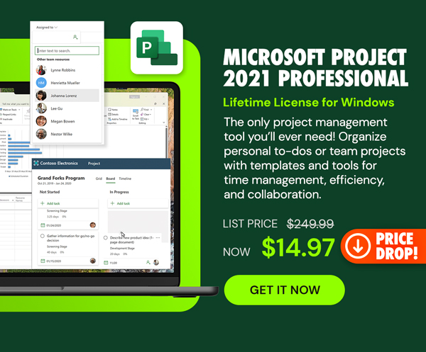 Microsoft Project 2021 Professional: Lifetime License for Windows