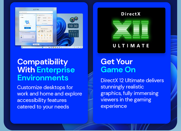 Microsoft Windows 11 Pro