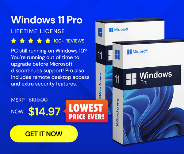 Microsoft Windows 11 Pro