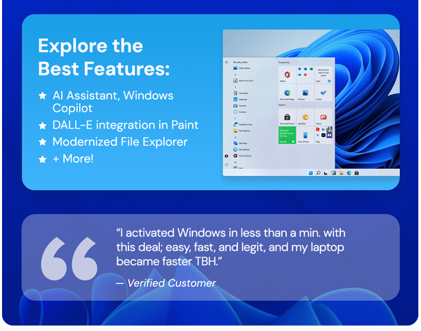 Microsoft Windows 11 Pro