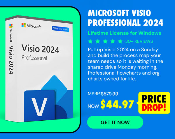 Microsoft Visio Professional 2024: Lifetime License for Windows