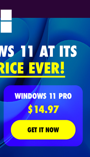 Microsoft Windows 11 Pro | Lifetime License