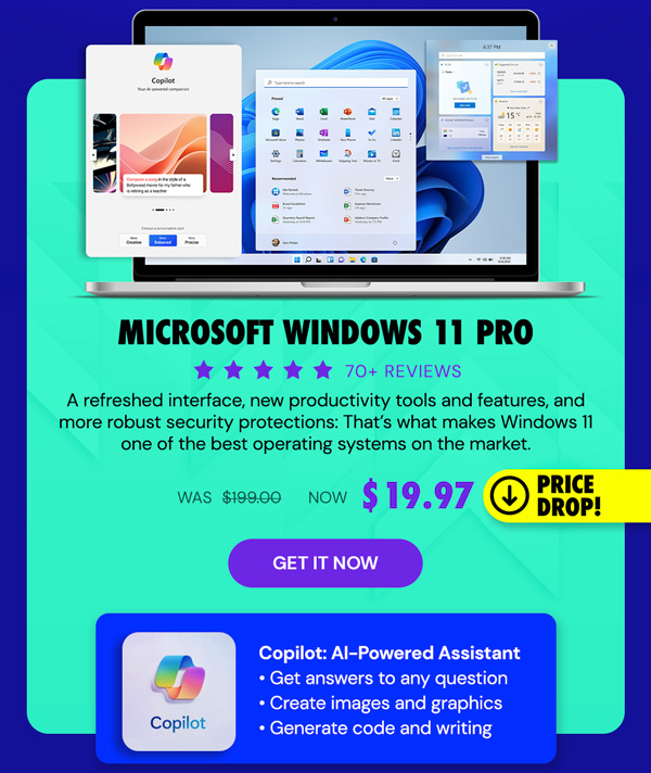 Microsoft Windows 11 Pro