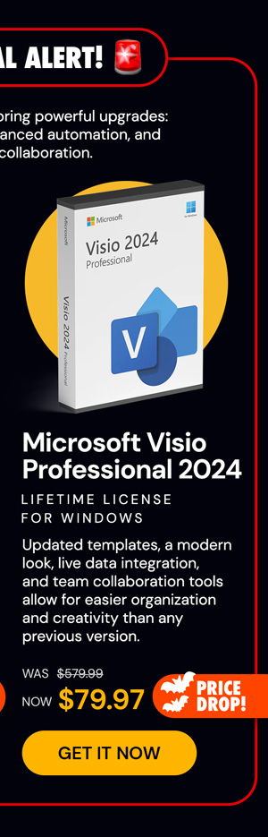 Microsoft Visio Professional 2024: Lifetime License for Windows