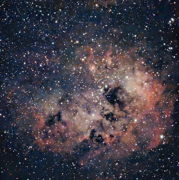 @dannydumbdumb on Instagram