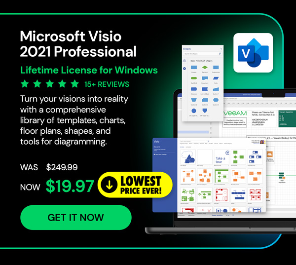 Microsoft Visio 2021 Professional for Windows