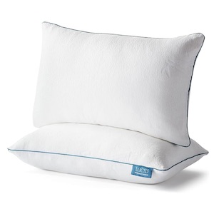 Shredded Memory Foam Pillow (2 Pack)