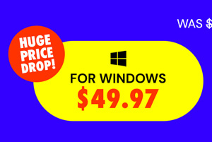 Microsoft Office Professional 2021 for Windows: Lifetime License