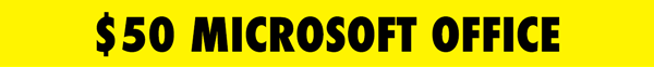 Microsoft Office 2024 Professional Plus
