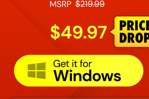 Microsoft Office Professional 2021 for Windows: Lifetime License